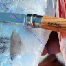 Нож Opinel серии Slim №10, филейный, клинок 10см, нержавеющая сталь, зеркальная полировка, рукоять - олива, 000645