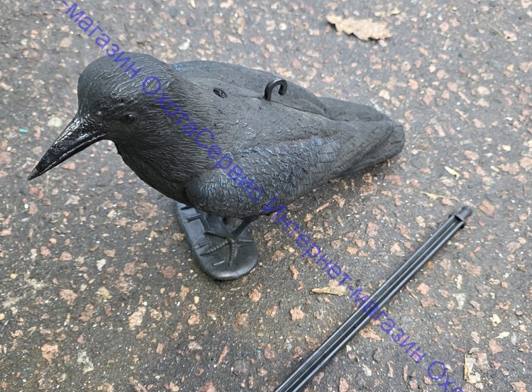 Sport Plast полнотелое чучело вОрона, CR 750