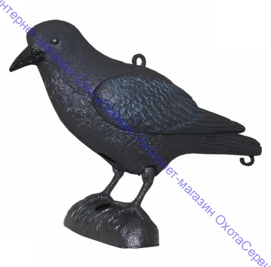 Sport Plast полнотелое чучело вОрона, CR 750