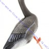 Birdland чучело гуся гуменника, складное, на опоре, комплект: 2 сторожевых, 2 отдыхающих, 8 кормящихся, BR-042S/R/F