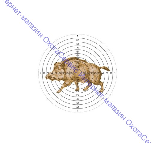 Мишень для пневматики 25 м цветная, рисунок КАБАН, 25ЦВК