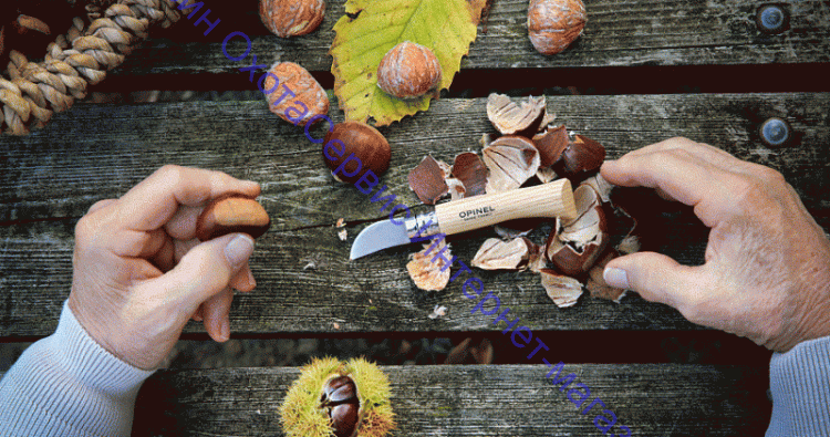 Нож Opinel серии Nomad Cooking N°07 Chestnut для каштанов и чеснока, клинок 4см, нерж. сталь, рукоять-каштан, коробка, 002360