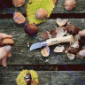 Нож Opinel серии Nomad Cooking N°07 Chestnut для каштанов и чеснока, клинок 4см, нерж. сталь, рукоять-каштан, коробка, 002360