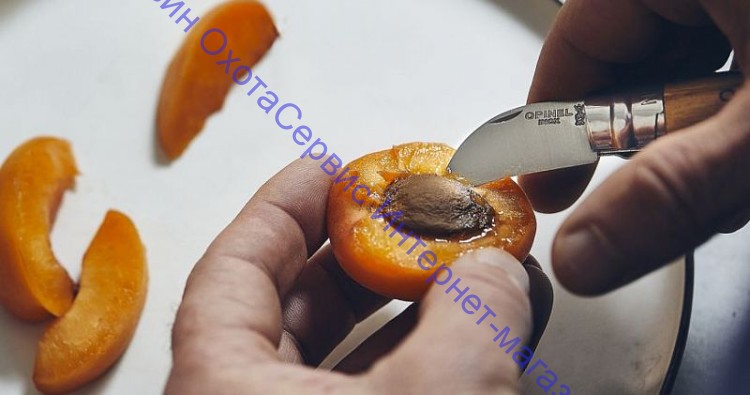 Нож Opinel серии Nomad Cooking N°07 Chestnut для каштанов и чеснока, клинок 4см, нерж. сталь, рукоять-каштан, коробка, 002360