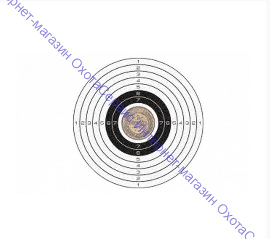 Мишень для пневматики 25 м цветная, рисунок " 5 КОПЕЕК", 25ЦВ5К