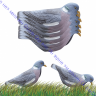 Sport Plast чучело голубя вяхиря активного, полукорпусное, крепеж на палку, пластик, матовое, IM 26-00 U