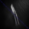 Нож Opinel серии Limited Edition №08 Ellipse, клинок 8,5см, нерж.сталь, зерк.полировка, африканское дерево, футляр,  002347